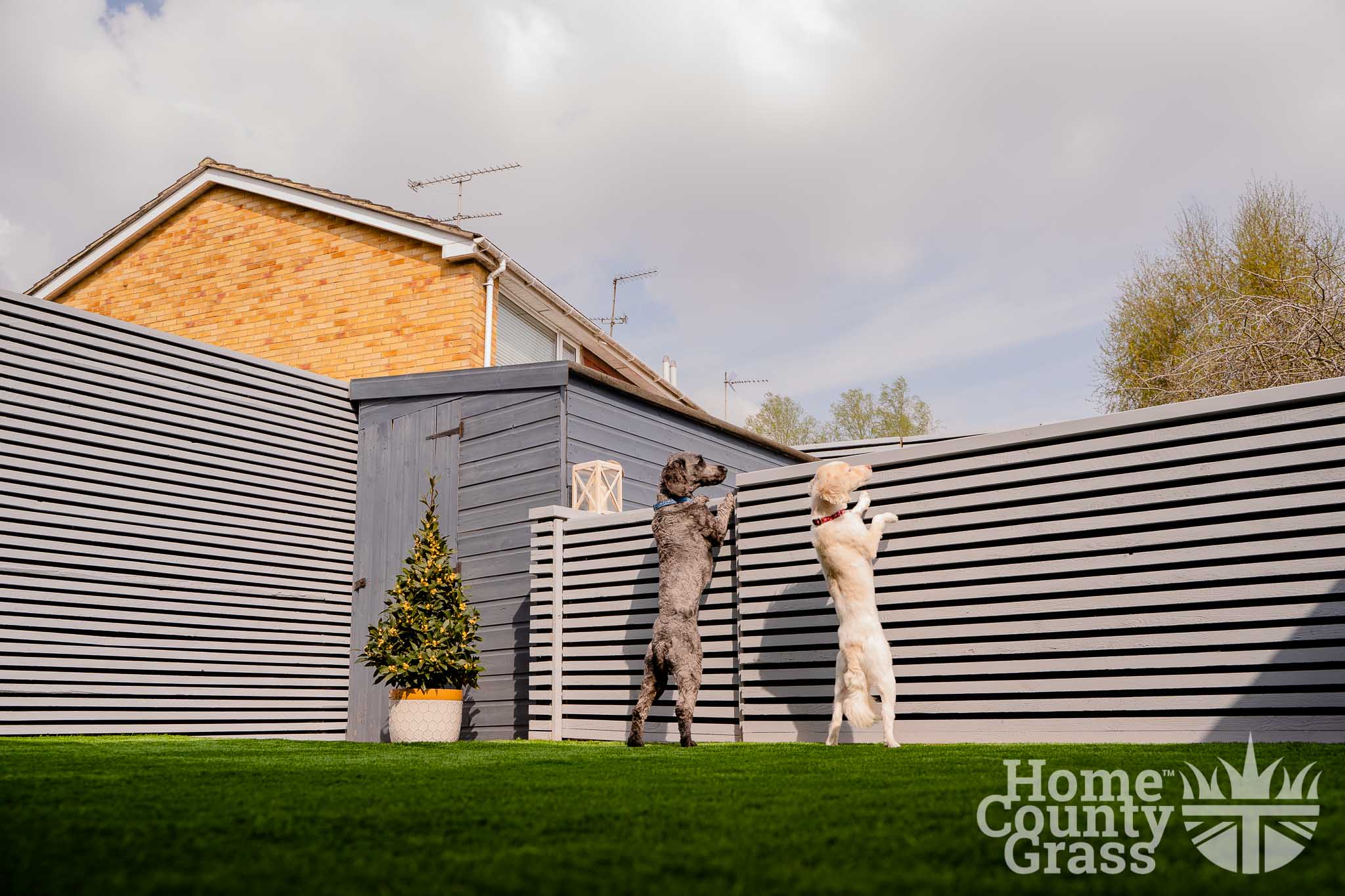 artificial grass